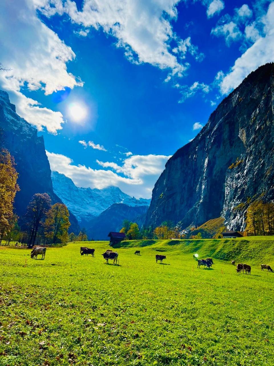 Chalet Rosa B&B Lauterbrunnen Esterno foto